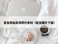 瑞安昆虫网站高清照片素材（昆虫图片下载）